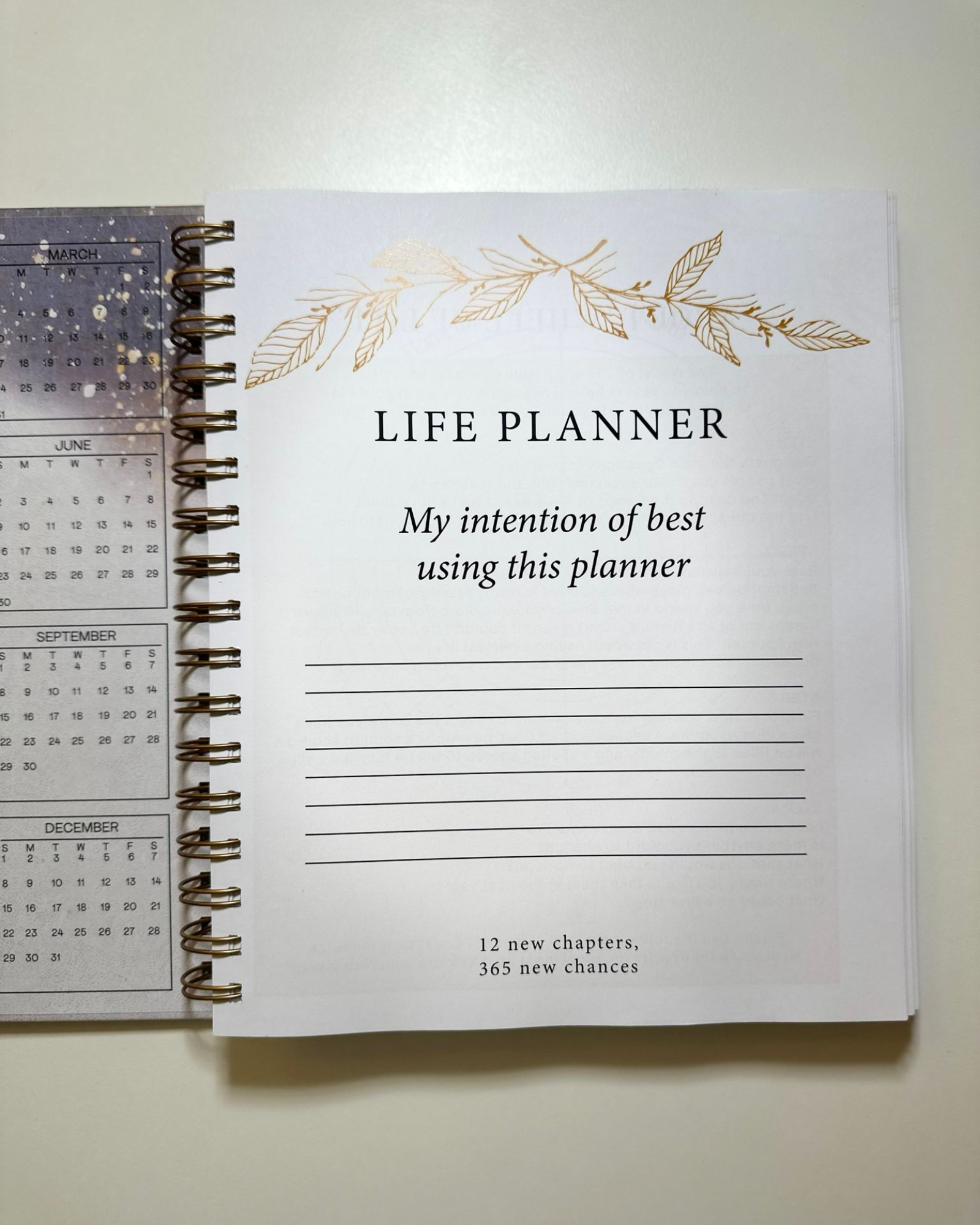 Life Planner “CONNECTION”